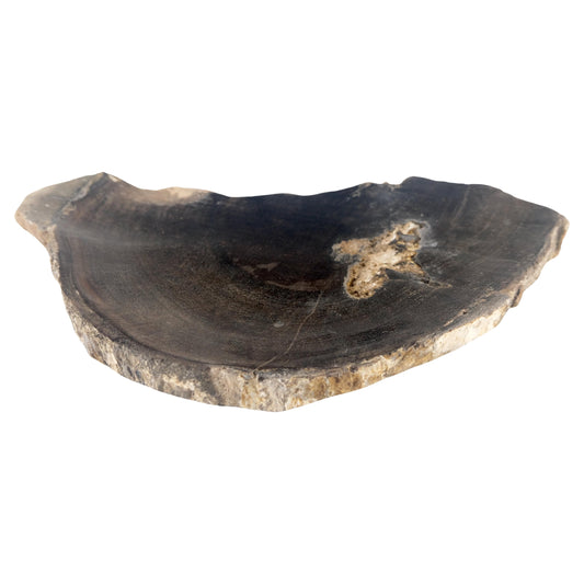 EstablishedLines Organic Half round Shape Black & Tan Petrified Wood Tray Bowl Dish Plate Ashtray