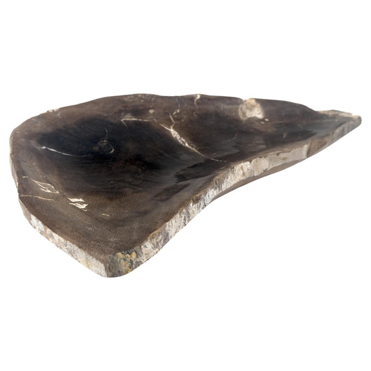 EstablishedLines Organic Liver Shape Black & Tan Petrified Wood Tray Bowl Dish Plate Ashtray MINT