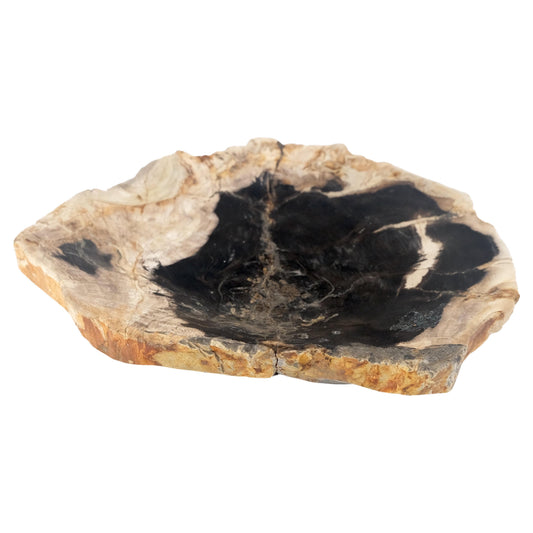 EstablishedLines Organic Leaf Shape Black & Tan Petrified Wood Tray Bowl Dish Plate Ashtray MINT
