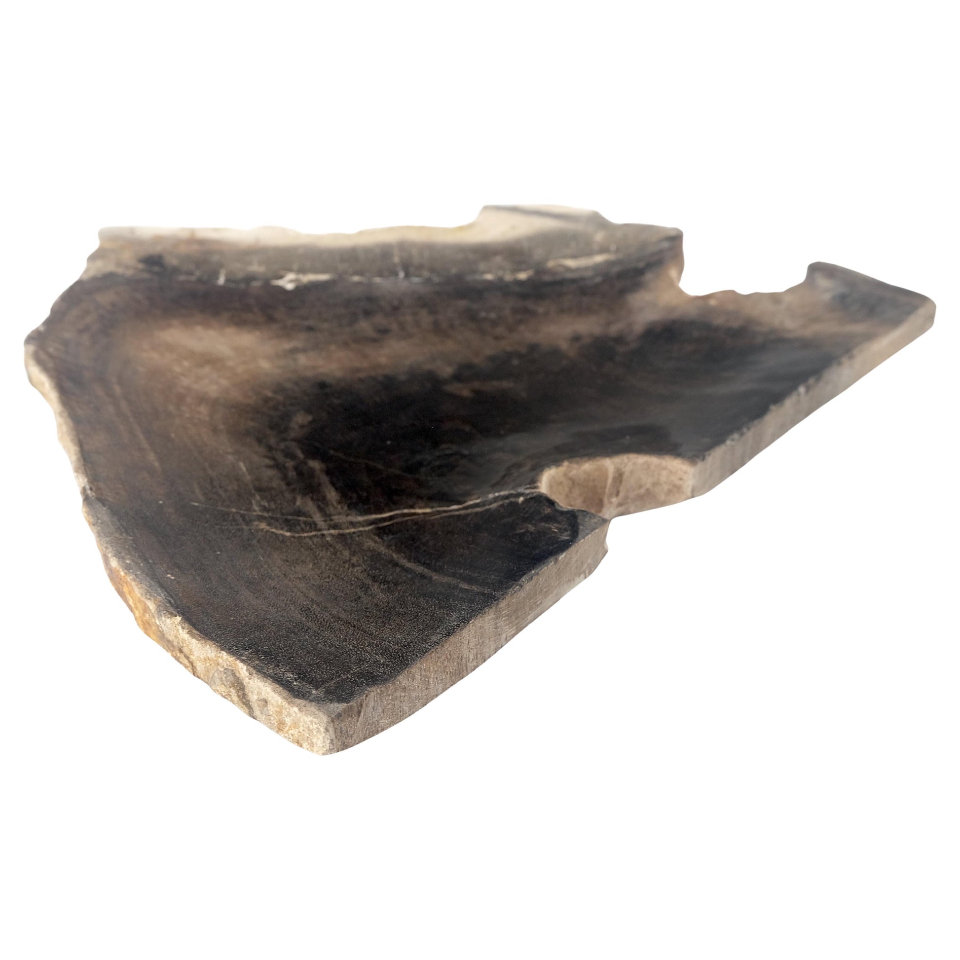 EstablishedLines Organic Triangle Shape Black & Tan Petrified Wood Tray Bowl Dish Plate Ashtray