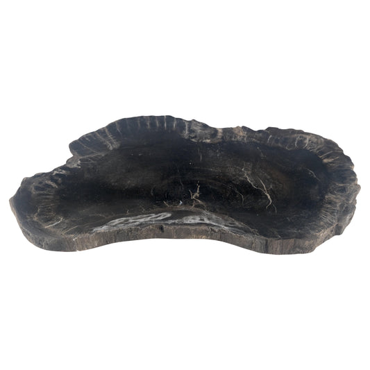 EstablishedLines Organic Kidney Shape Black & Tan Petrified Wood Tray Bawl Dish Plate Ashtray