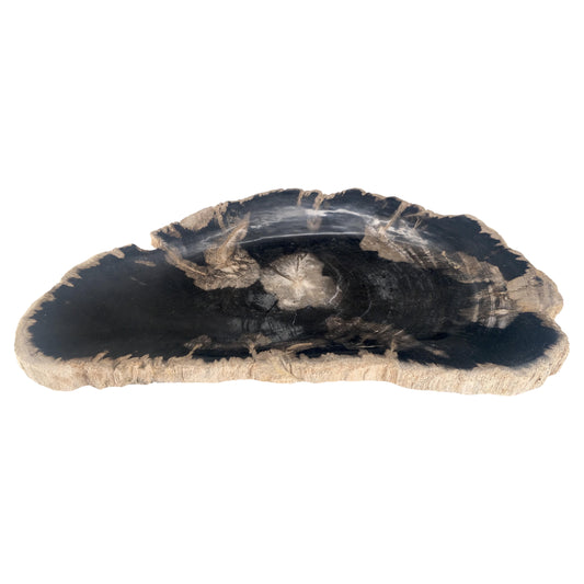 EstablishedLines Organic Demilune Shape Black & Tan Petrified Wood Tray Bawl Dish Plate Ashtray