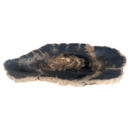 EstablishedLines Organic Oyster Shape Black & Tan Petrified Wood Tray Bowl Dish Plate Ashtray