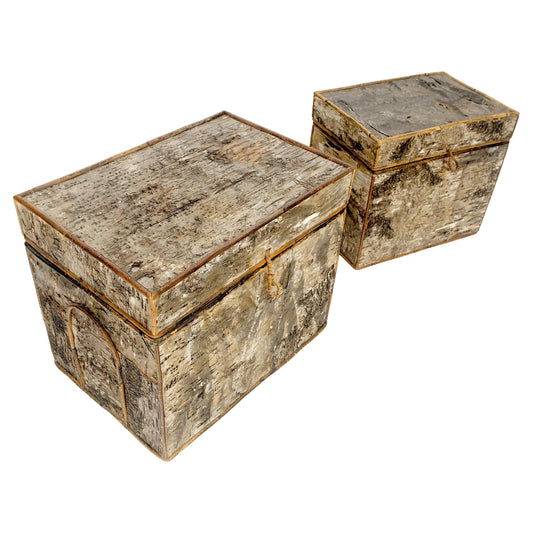 EstablishedLines Unusual Birch Tree Bark Nesting Decorative Trunk Shape Boxes