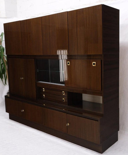 Large German Deco Mid Century Modern Lacquered Wall Unit Multi Use Cabinet NICE!