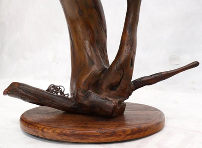 Varnished Arts & Crafts Driftwood Table Lamp