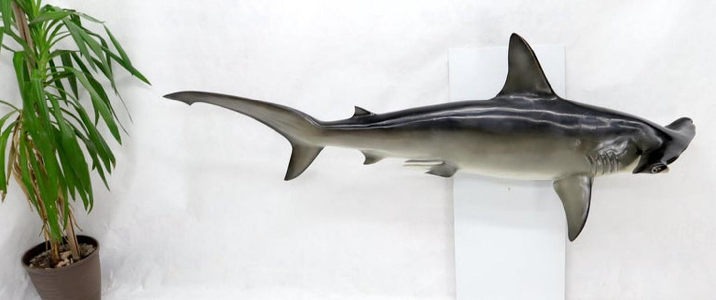 Large Long Wall Hanging Sculpture of Hammerhead Shark Fish with Real Jaw Teeth