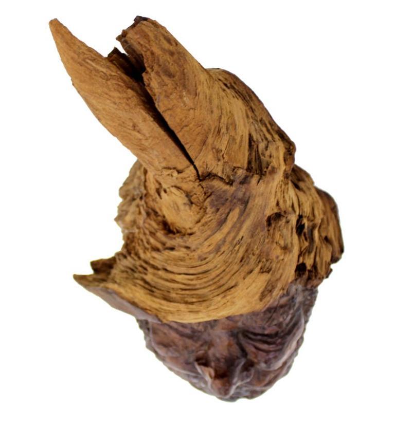 EstablishedLines Very Fine Detailed Burl Wood Carving of an Elf or Gnome Face Wall Sculpture MINT