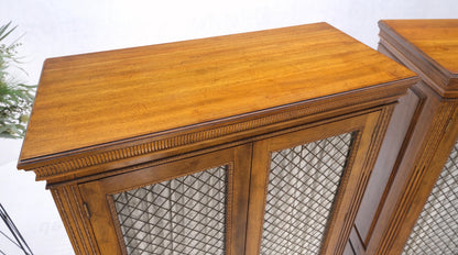 Pair of French Double Brass Lattice Carved Doors Storage Cabinets Dressers MINT!