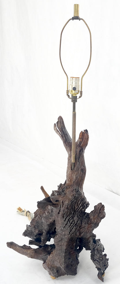 Large 37" Tall Mid Century Modern Varnished Oiled Driftwood Table Lamp MINT