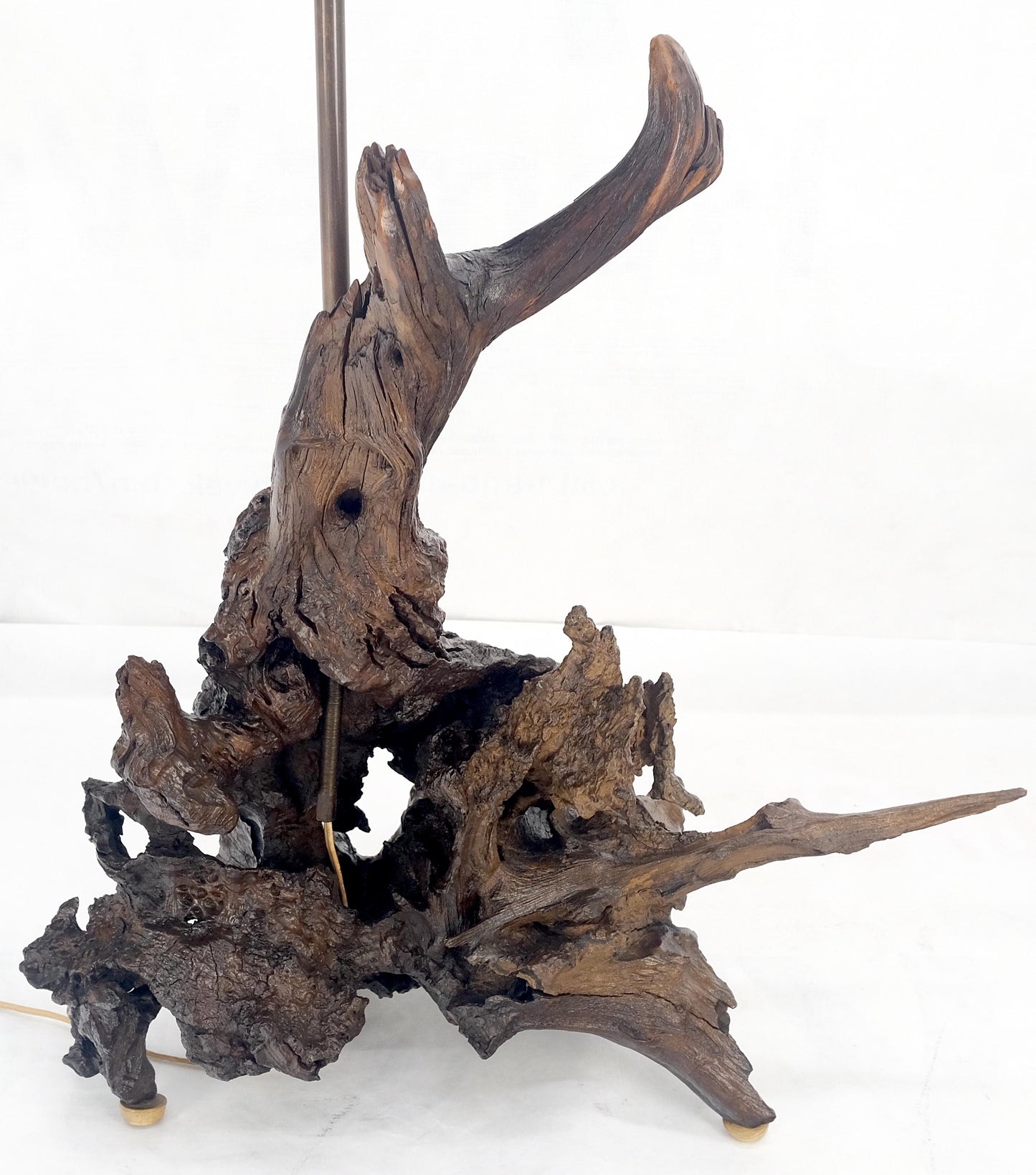 Large 37" Tall Mid Century Modern Varnished Oiled Driftwood Table Lamp MINT