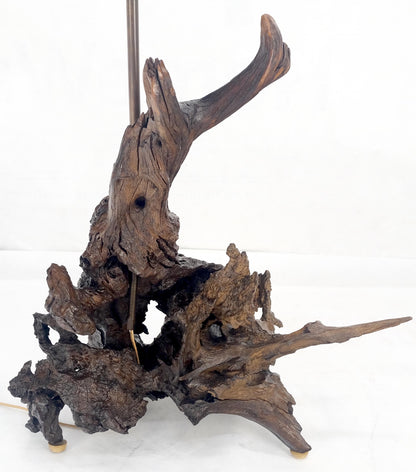 Large 37" Tall Mid Century Modern Varnished Oiled Driftwood Table Lamp MINT