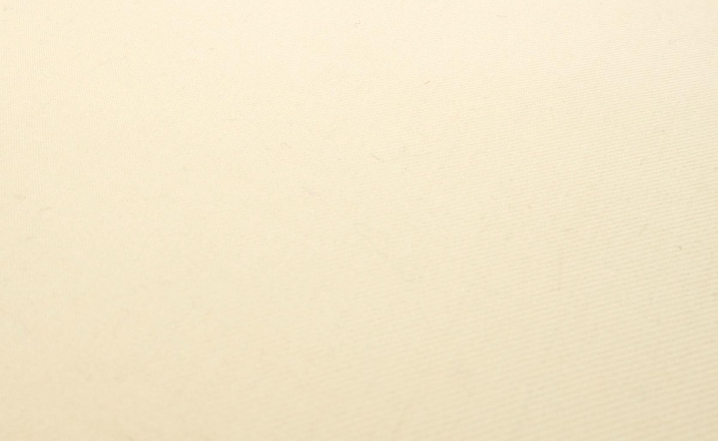 EstablishedLines Pair of Smoked Chrome X Shape Square Benches Ottomans Stools