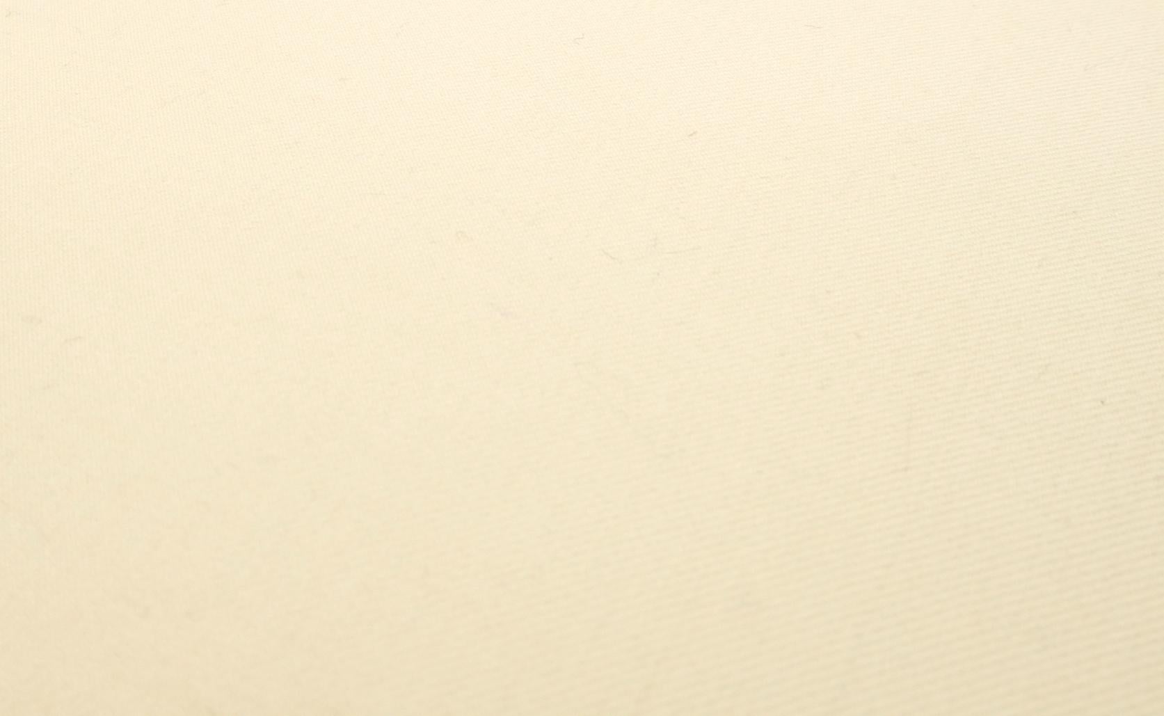 EstablishedLines Pair of Smoked Chrome X Shape Square Benches Ottomans Stools