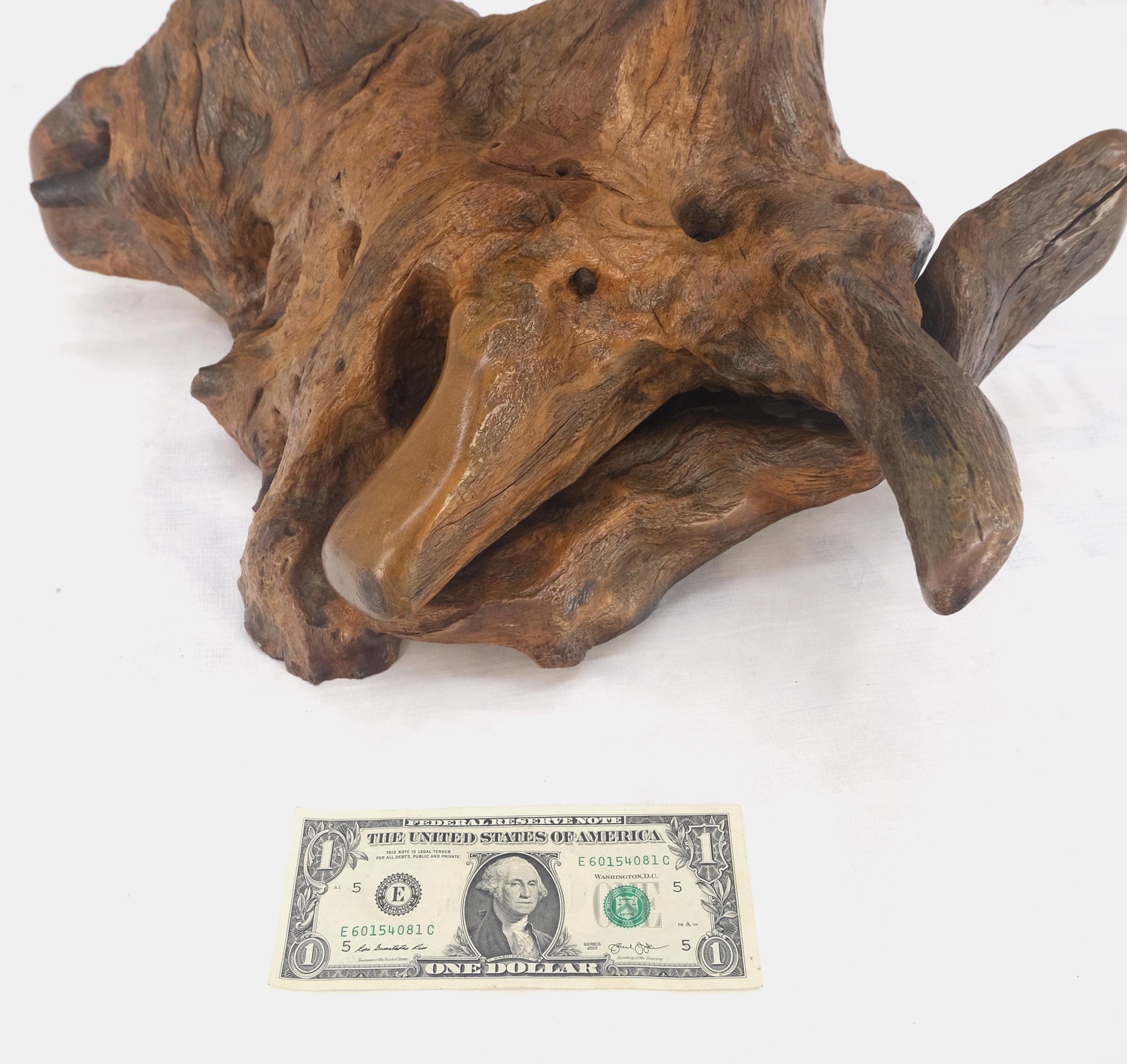EstablishedLines Large 25" Tall Artist Signed Driftwood Root Burl Wood Natural Sculpture NICE!