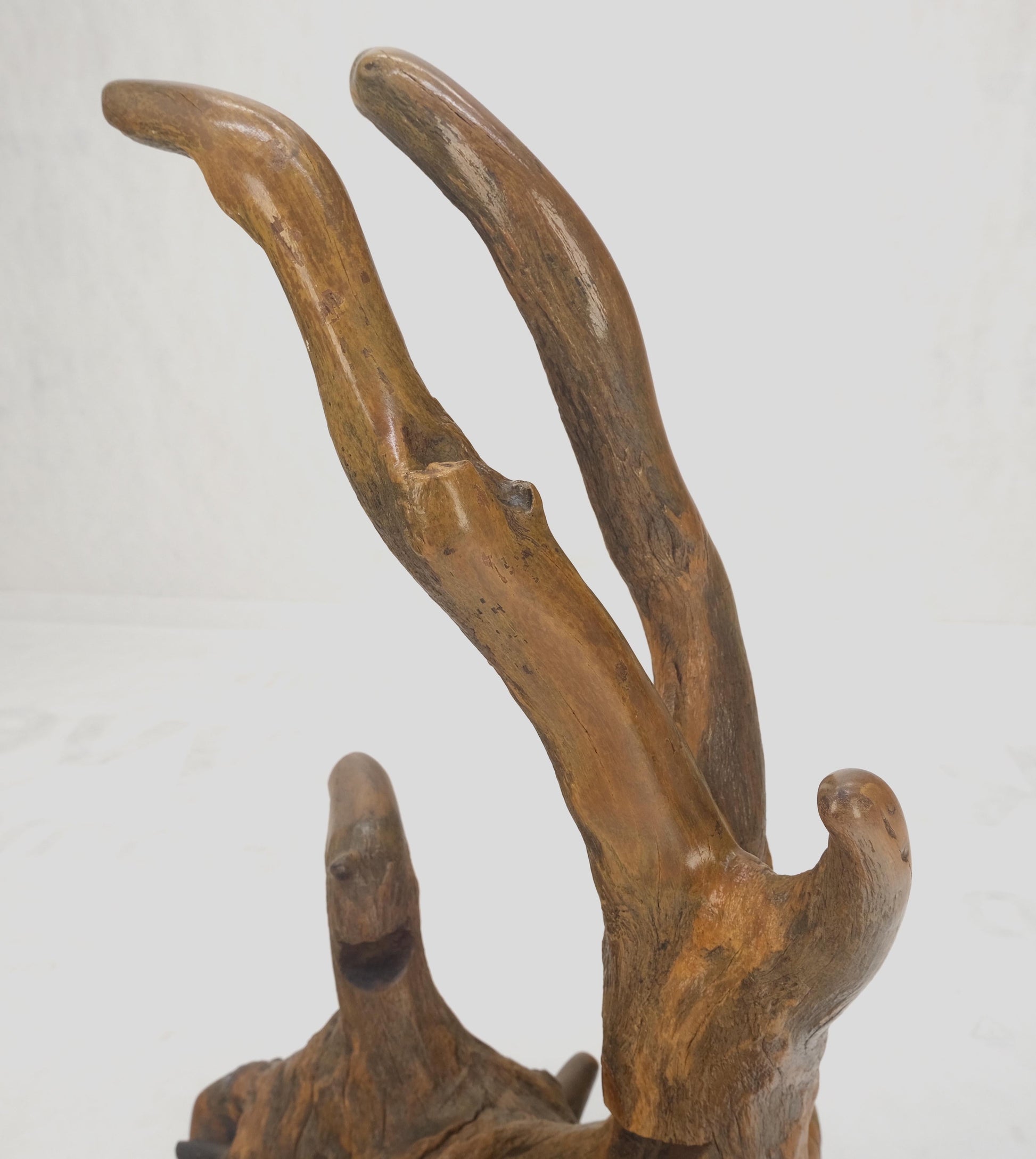 EstablishedLines Large 25" Tall Artist Signed Driftwood Root Burl Wood Natural Sculpture NICE!