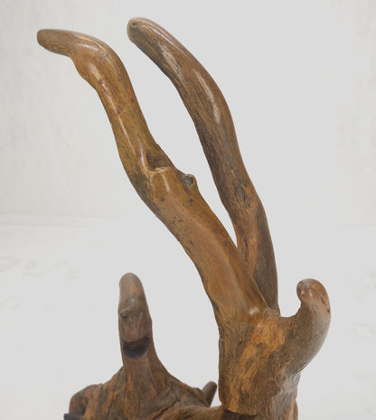 EstablishedLines Large 25" Tall Artist Signed Driftwood Root Burl Wood Natural Sculpture NICE!