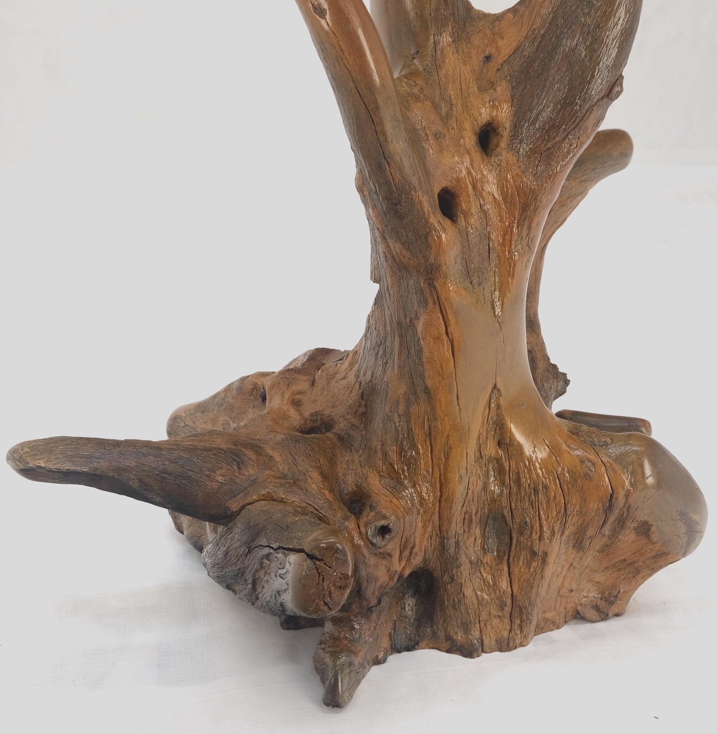 EstablishedLines Large 25" Tall Artist Signed Driftwood Root Burl Wood Natural Sculpture NICE!