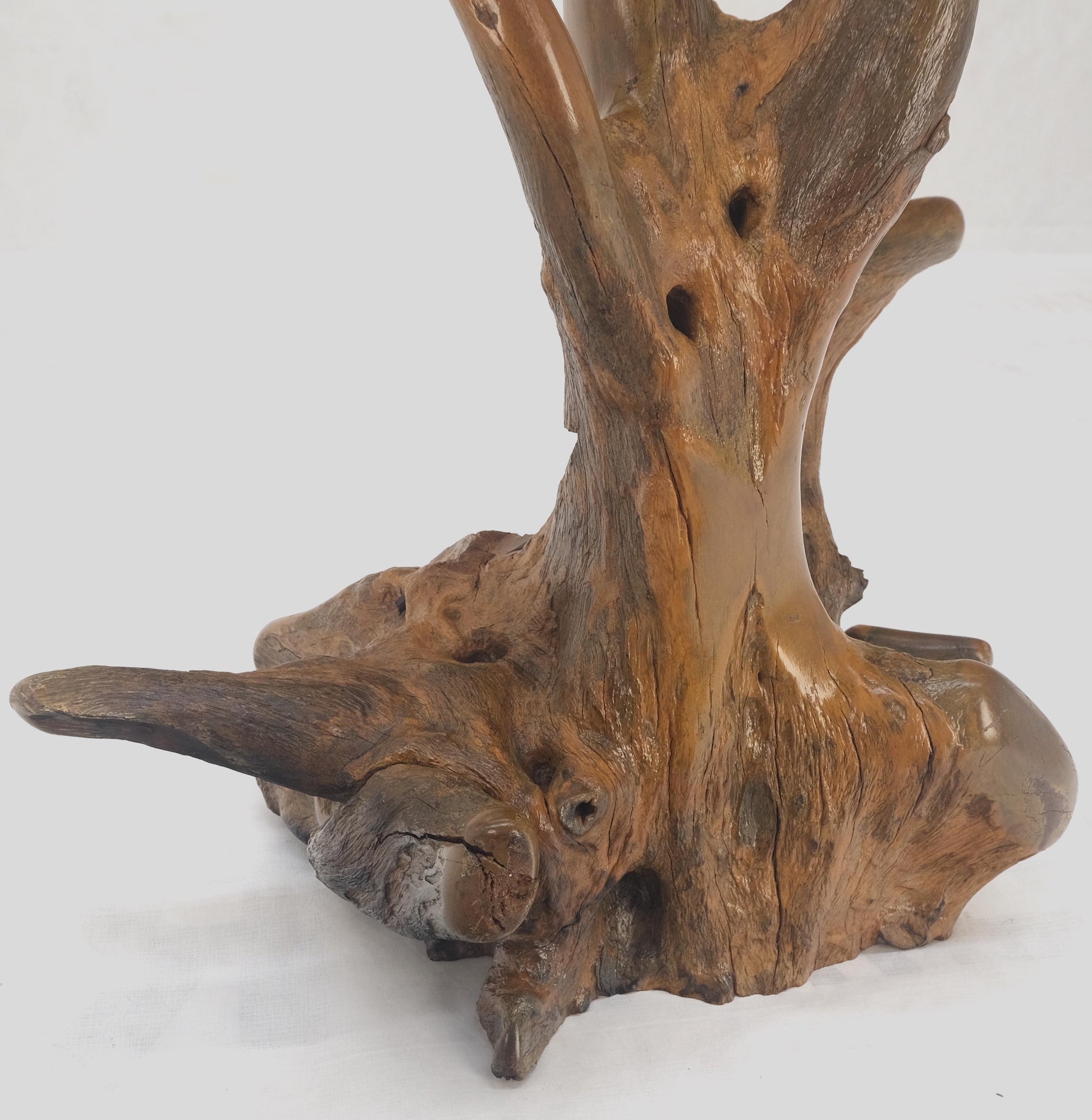 EstablishedLines Large 25" Tall Artist Signed Driftwood Root Burl Wood Natural Sculpture NICE!