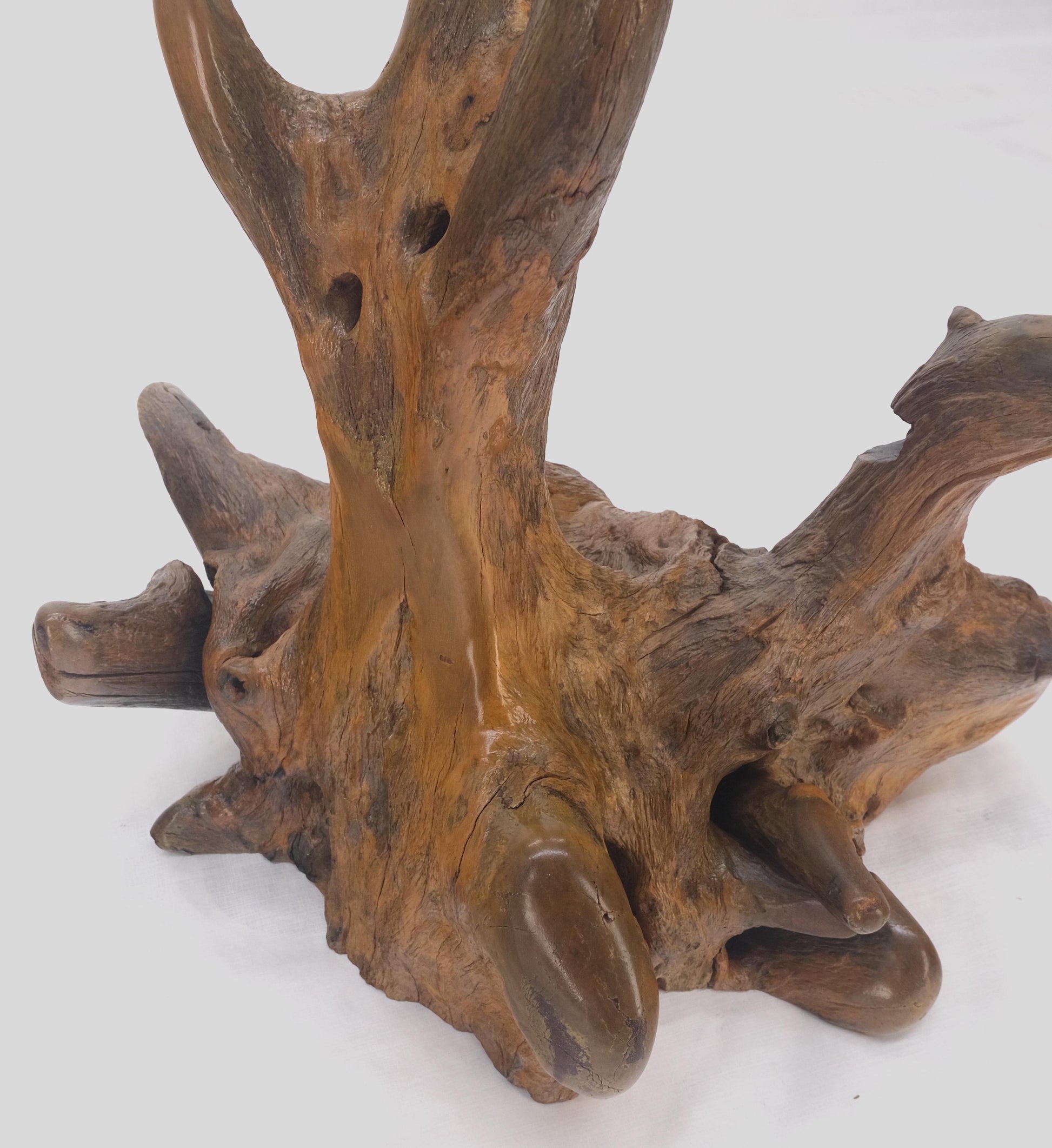 EstablishedLines Large 25" Tall Artist Signed Driftwood Root Burl Wood Natural Sculpture NICE!