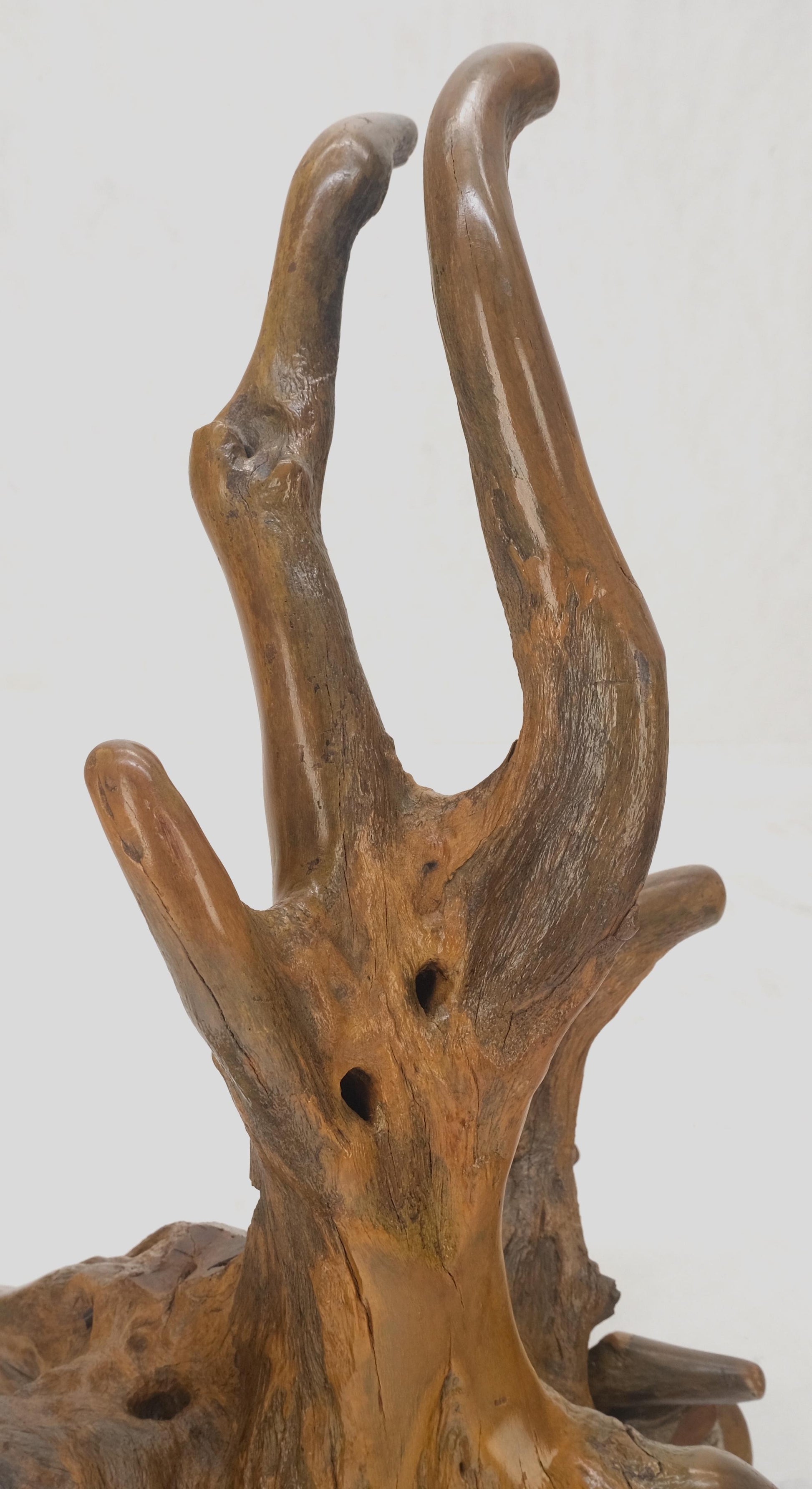 EstablishedLines Large 25" Tall Artist Signed Driftwood Root Burl Wood Natural Sculpture NICE!