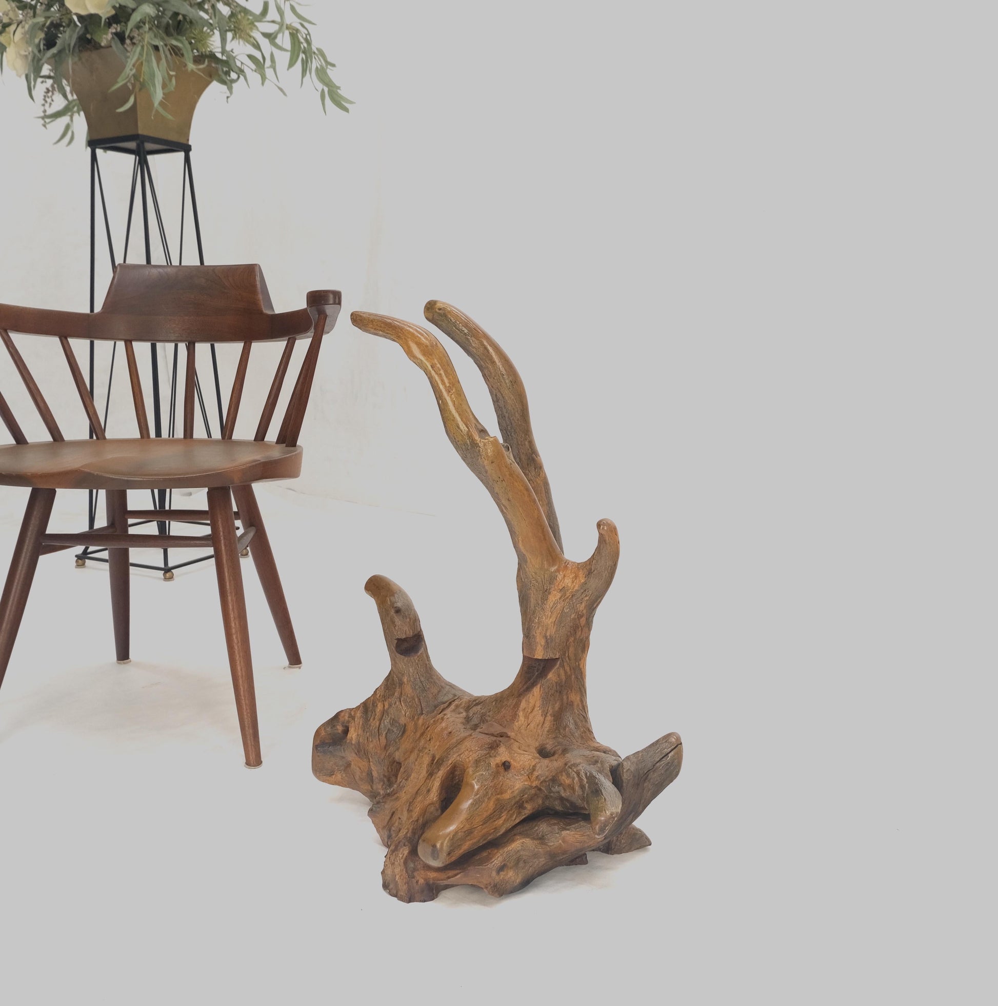 EstablishedLines Large 25" Tall Artist Signed Driftwood Root Burl Wood Natural Sculpture NICE!