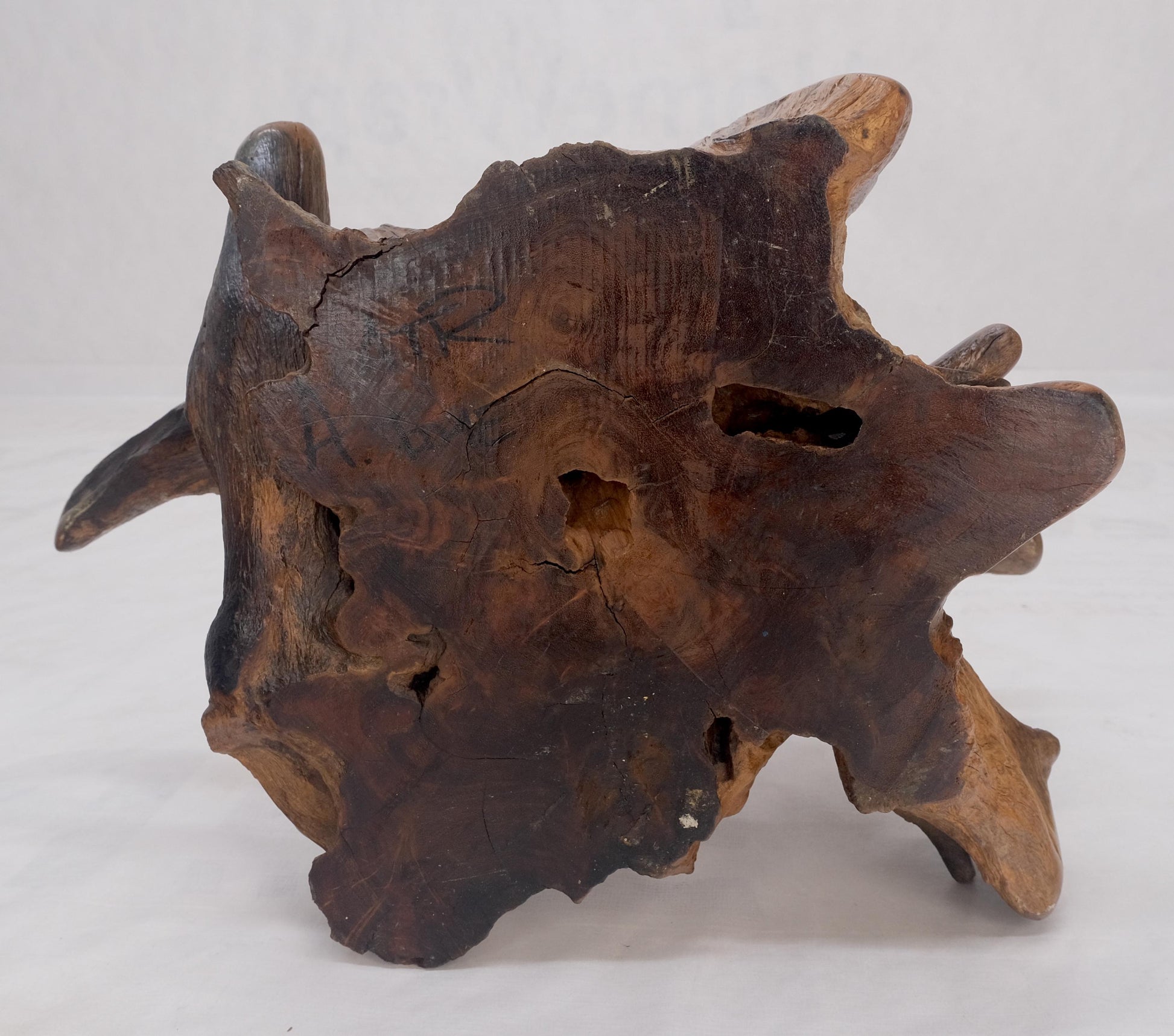 EstablishedLines Large 25" Tall Artist Signed Driftwood Root Burl Wood Natural Sculpture NICE!