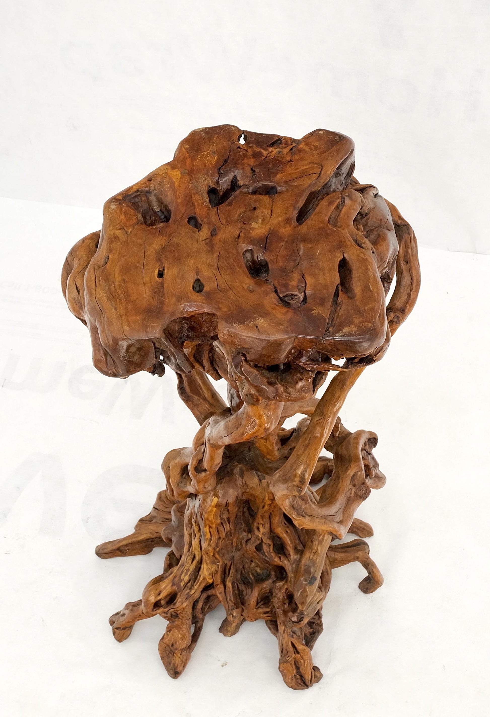 EstablishedLines Varnished Driftwood Root Natural Organic Wood Pedestal Side End Table Stand Nice
