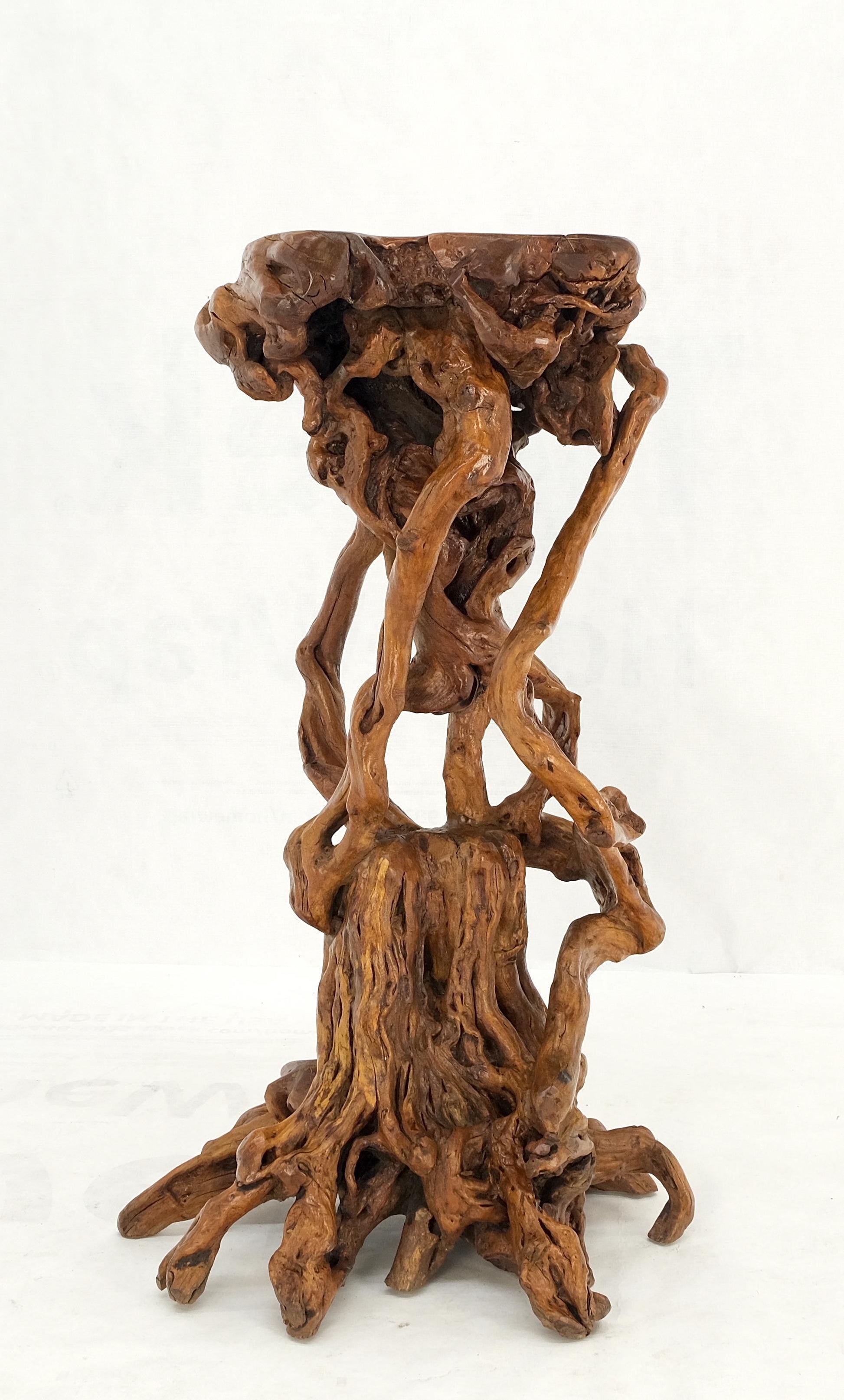 EstablishedLines Varnished Driftwood Root Natural Organic Wood Pedestal Side End Table Stand Nice