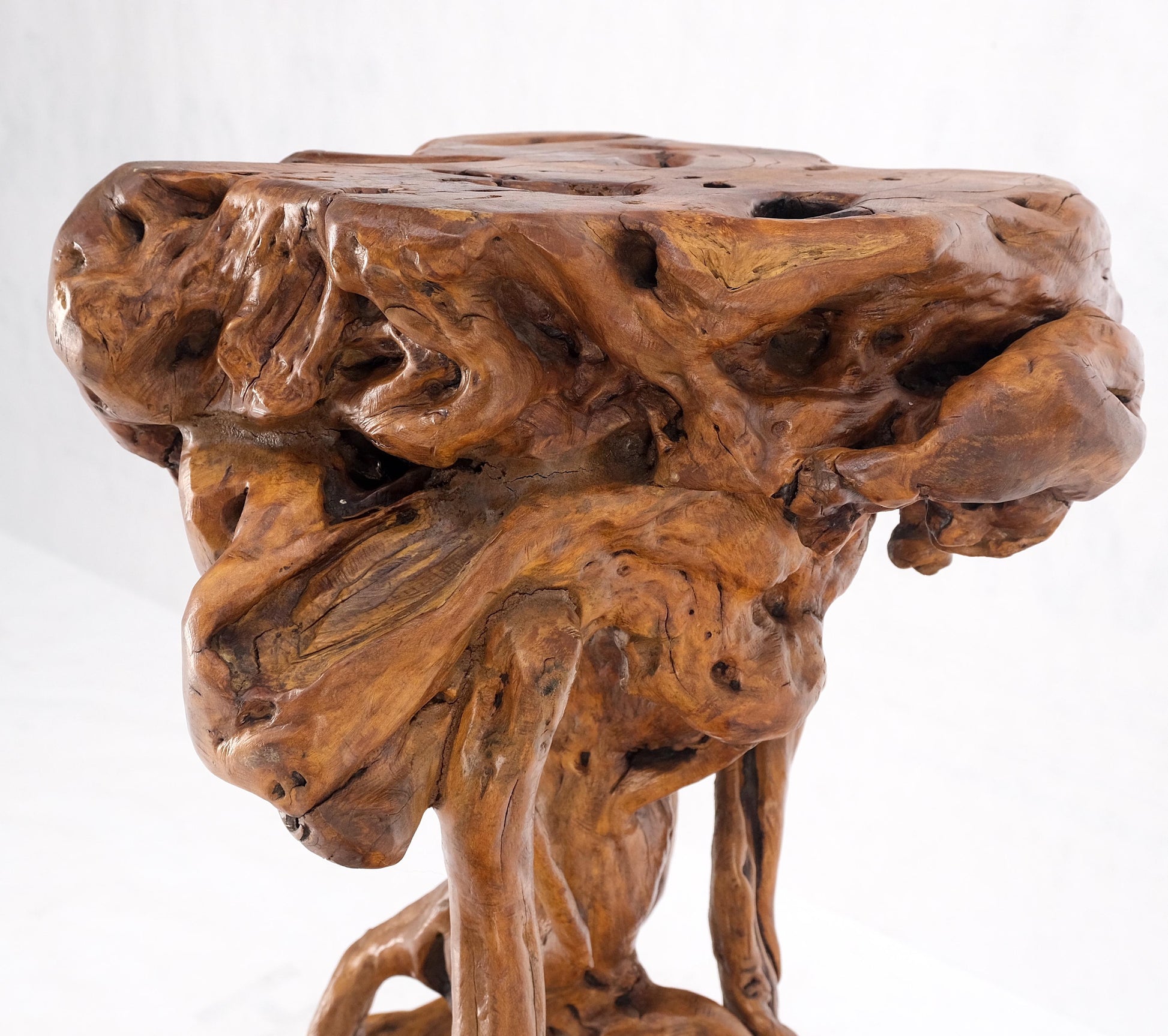 EstablishedLines Varnished Driftwood Root Natural Organic Wood Pedestal Side End Table Stand Nice