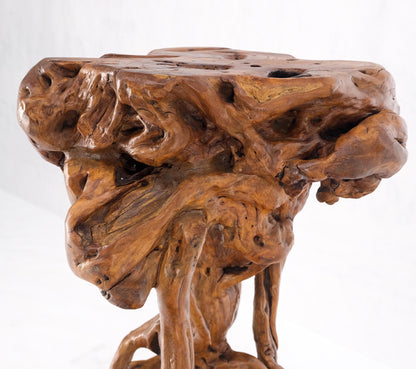 EstablishedLines Varnished Driftwood Root Natural Organic Wood Pedestal Side End Table Stand Nice
