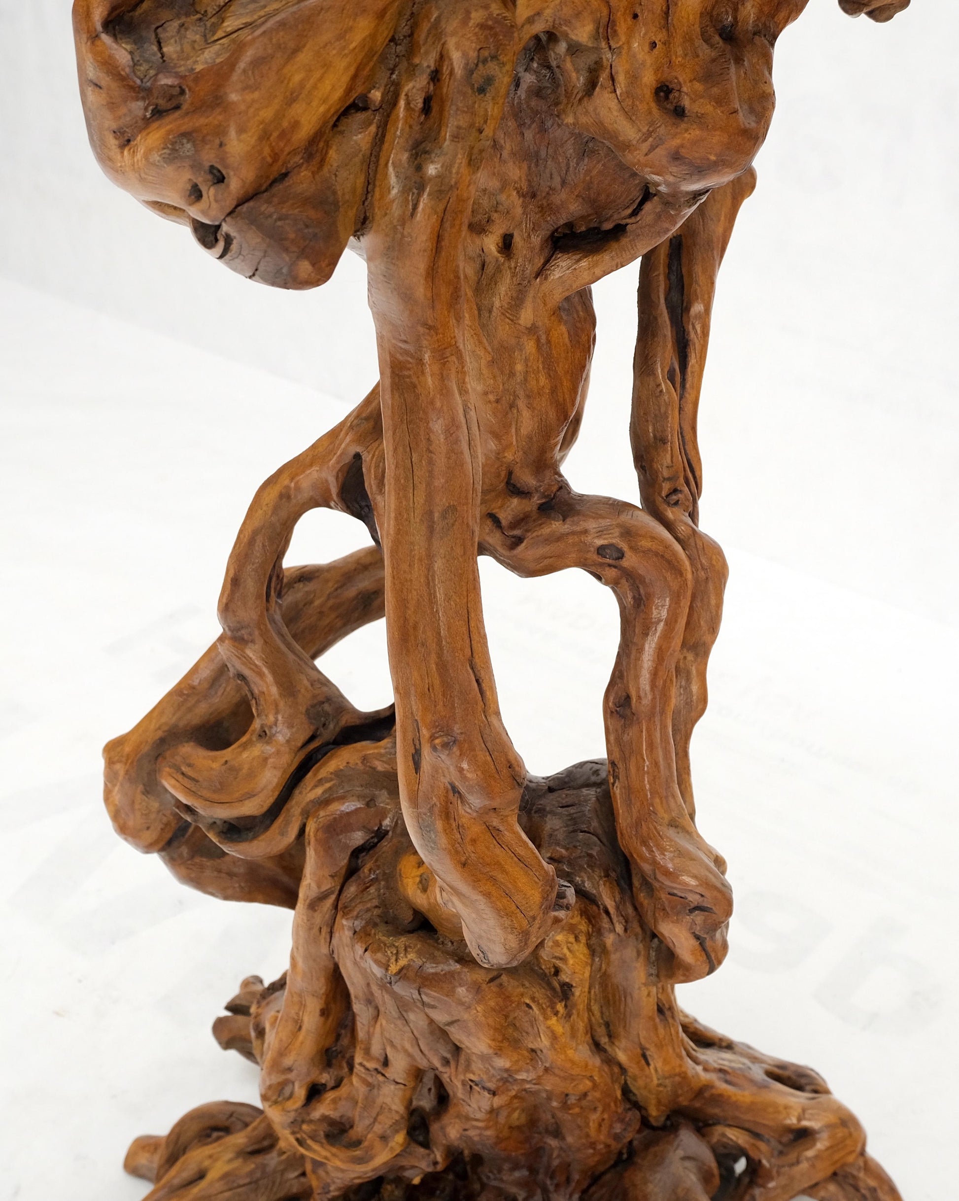 EstablishedLines Varnished Driftwood Root Natural Organic Wood Pedestal Side End Table Stand Nice
