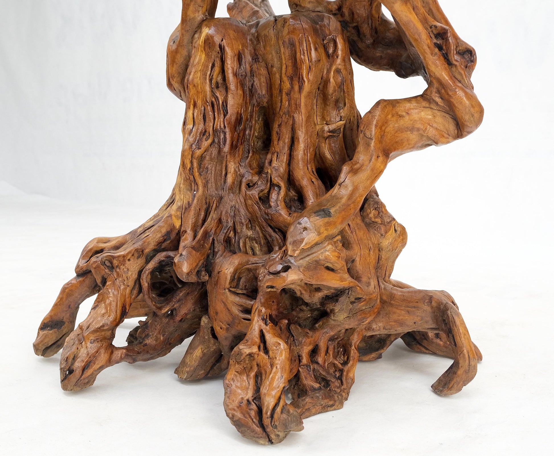 EstablishedLines Varnished Driftwood Root Natural Organic Wood Pedestal Side End Table Stand Nice