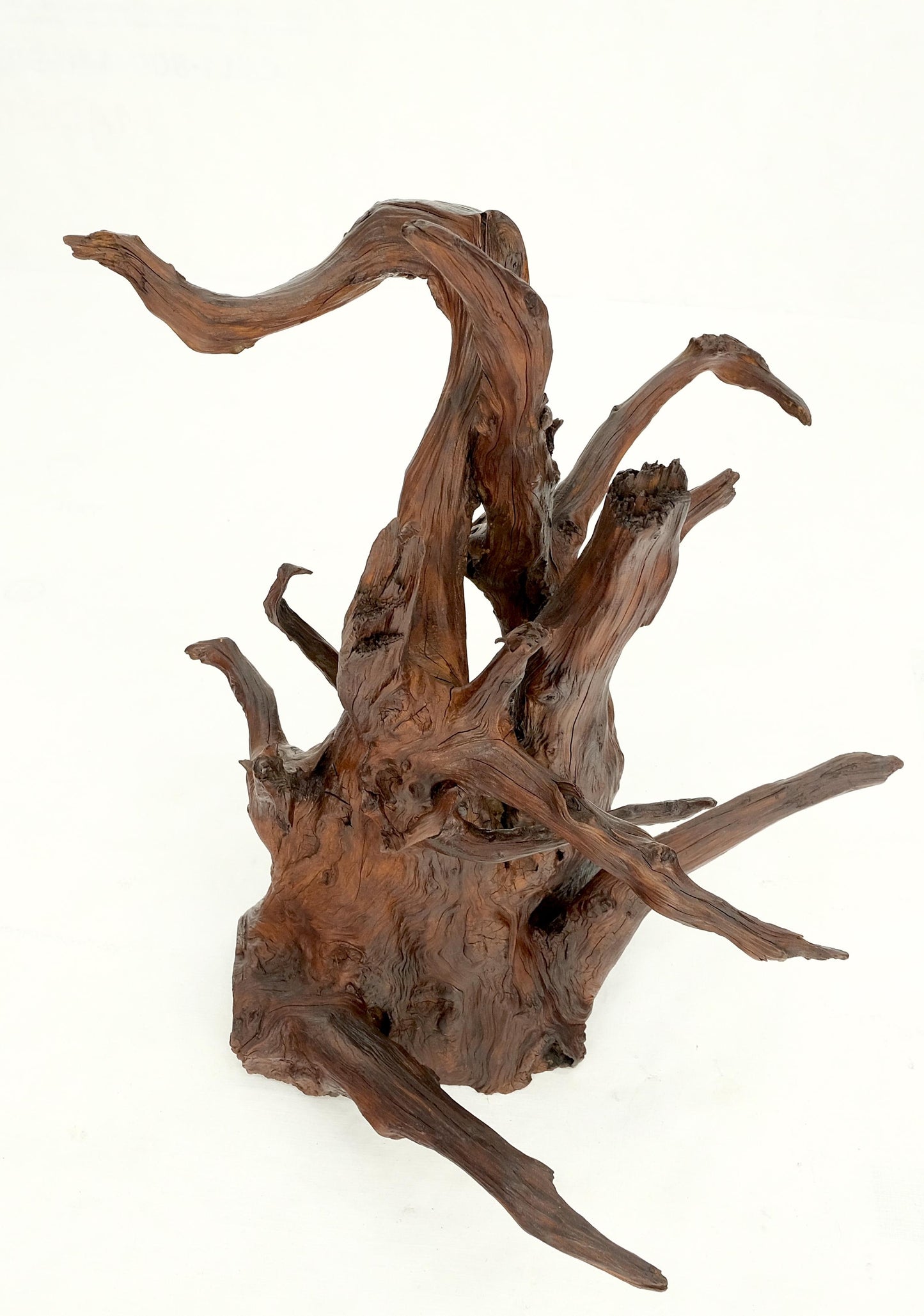 Solid Driftwood Root Sculpture Organic Jewerly Display Nice Patina & Shape Mint!