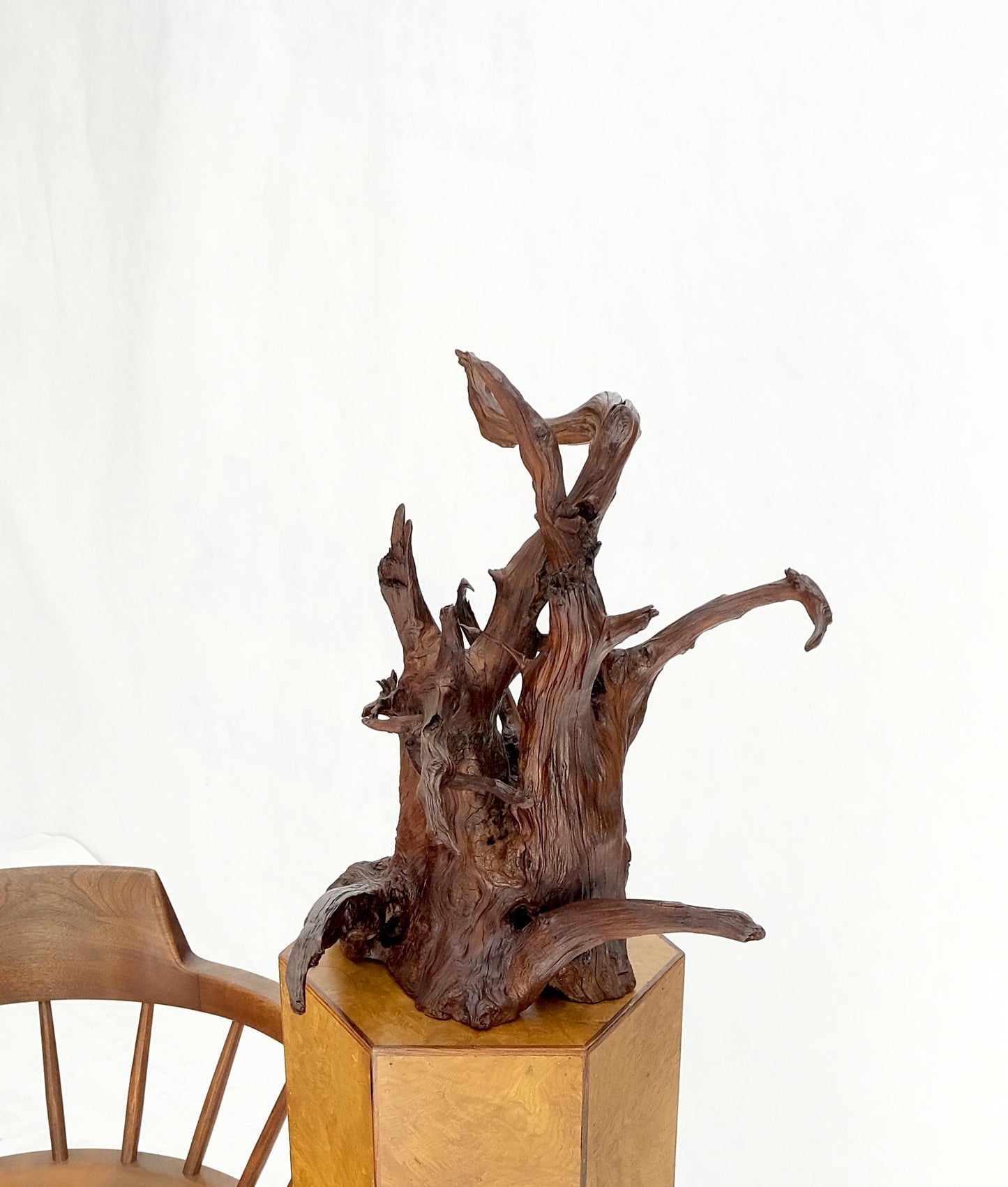 Solid Driftwood Root Sculpture Organic Jewerly Display Nice Patina & Shape Mint!