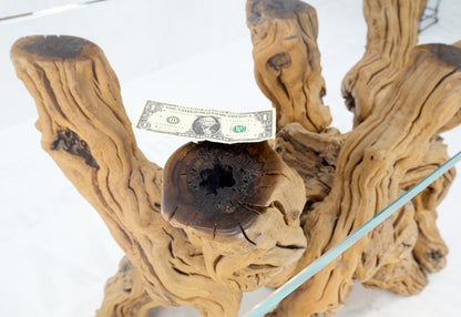 EstablishedLines Large Varnished Driftwood Organic Base Rectangle  Glass Top Console Table MINT!