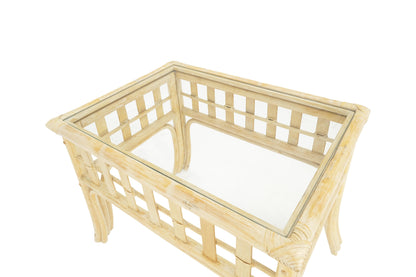 EstablishedLines Pair of White Wash Pickle Finish Rattan Rectangle Glass Top End Side Tables MINT