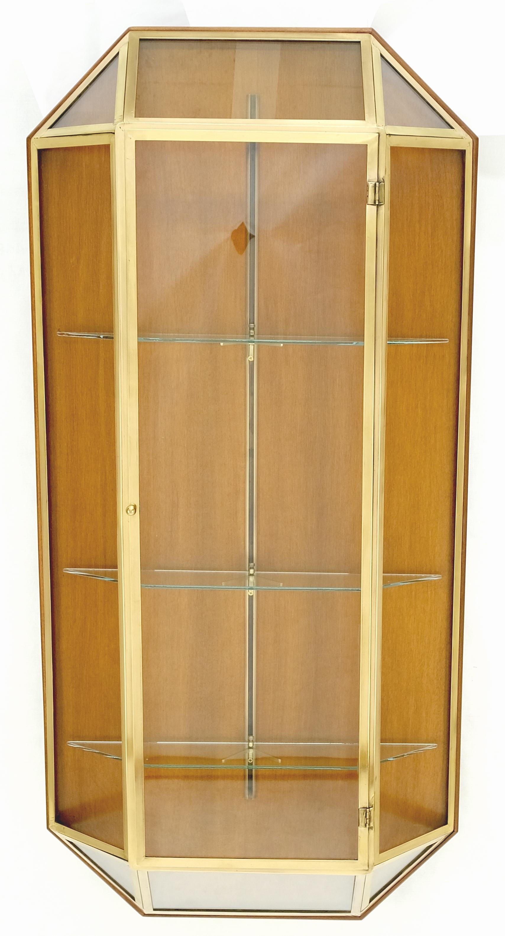 EstablishedLines Brass Glass Hanging Single Door Wall "Picture" Hanging Showcase Display Shelves