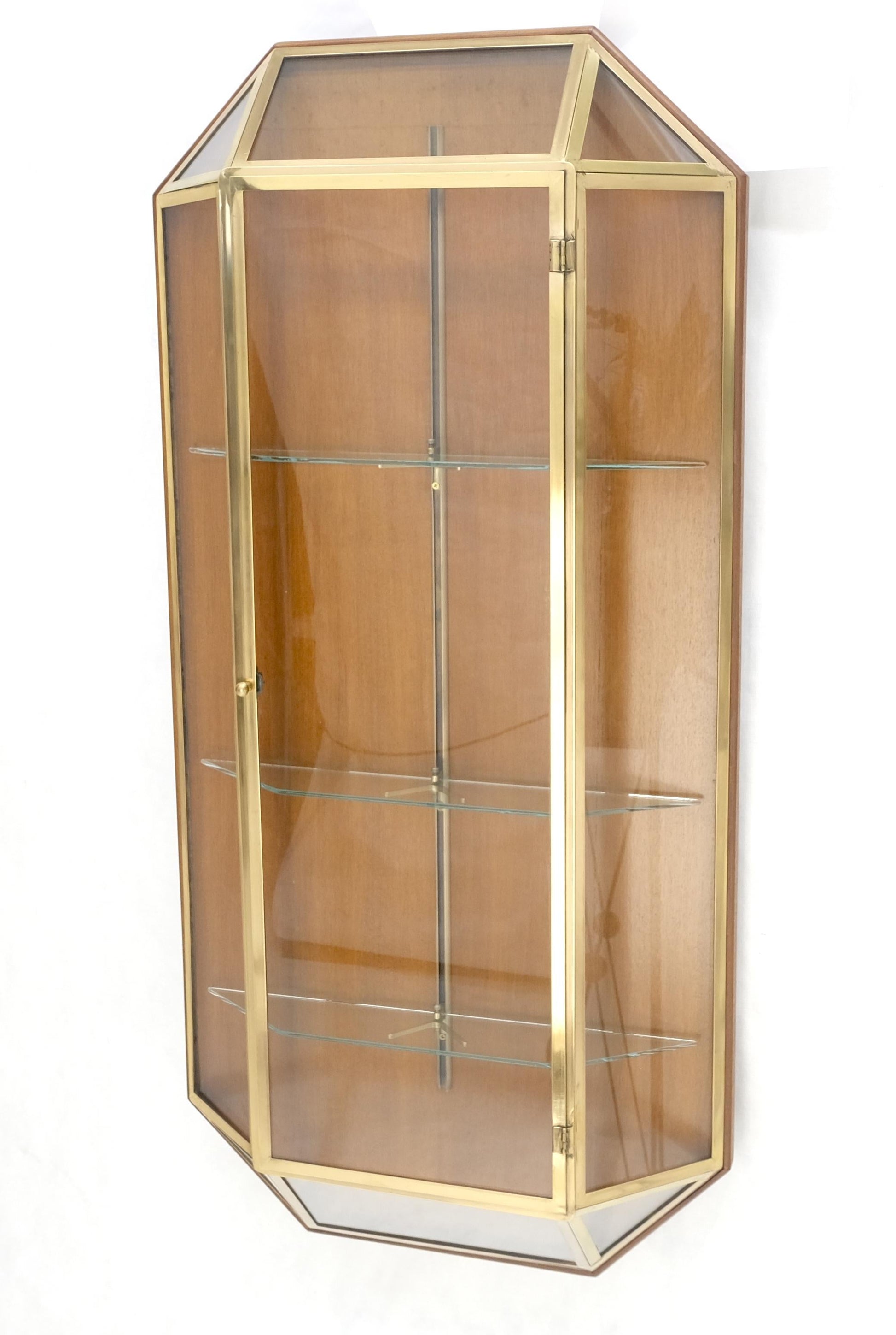 EstablishedLines Brass Glass Hanging Single Door Wall "Picture" Hanging Showcase Display Shelves