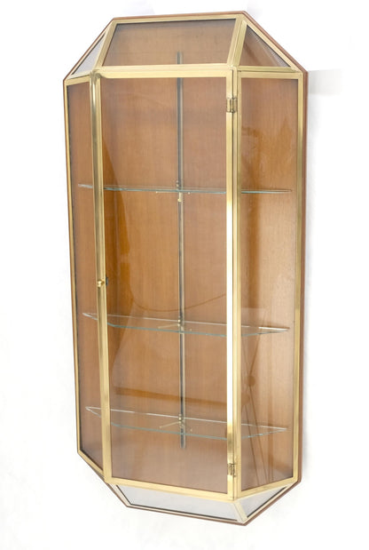 EstablishedLines Brass Glass Hanging Single Door Wall "Picture" Hanging Showcase Display Shelves