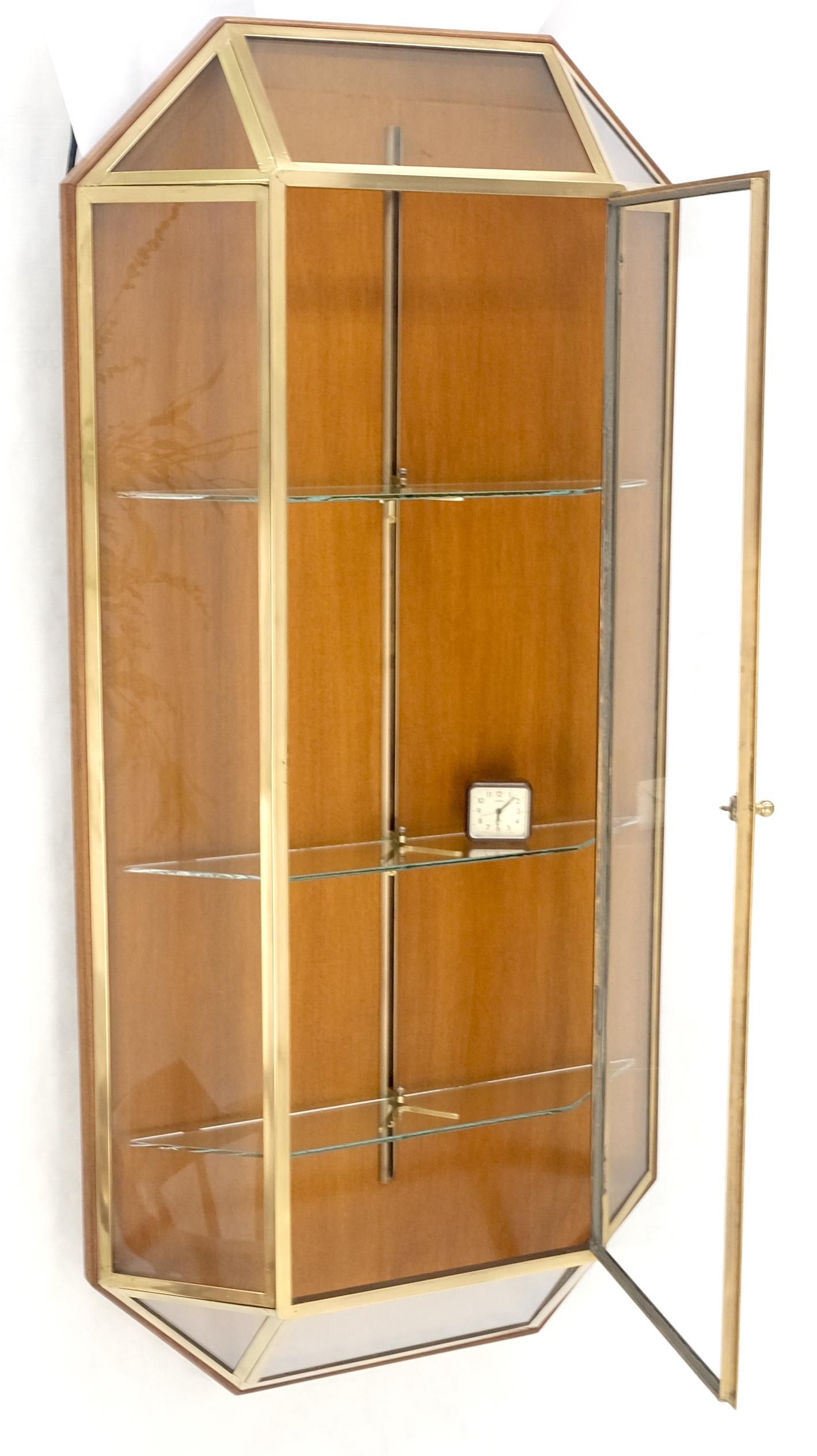 EstablishedLines Brass Glass Hanging Single Door Wall "Picture" Hanging Showcase Display Shelves
