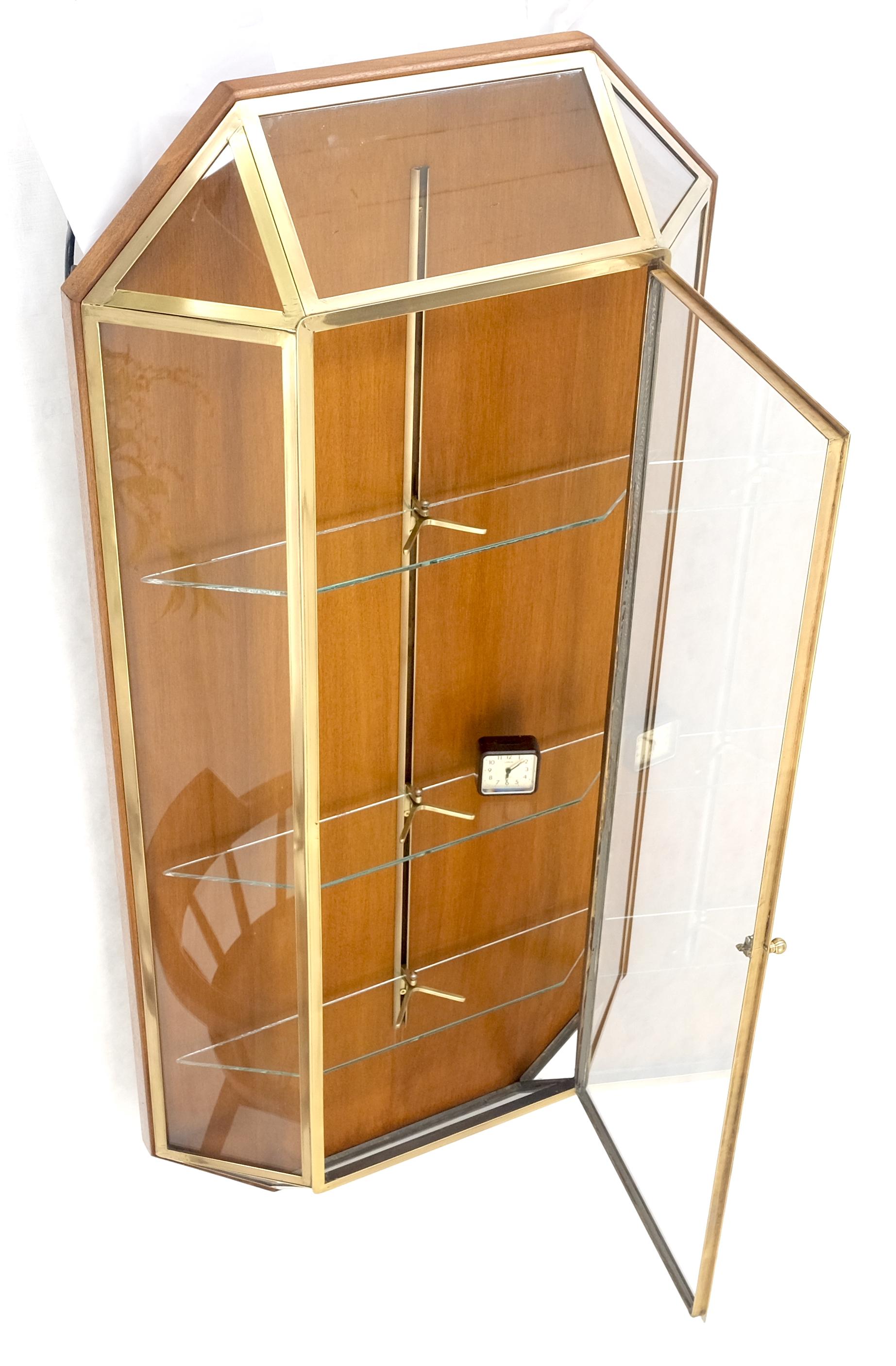 EstablishedLines Brass Glass Hanging Single Door Wall "Picture" Hanging Showcase Display Shelves