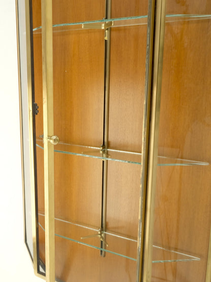EstablishedLines Brass Glass Hanging Single Door Wall "Picture" Hanging Showcase Display Shelves