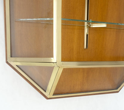 EstablishedLines Brass Glass Hanging Single Door Wall "Picture" Hanging Showcase Display Shelves