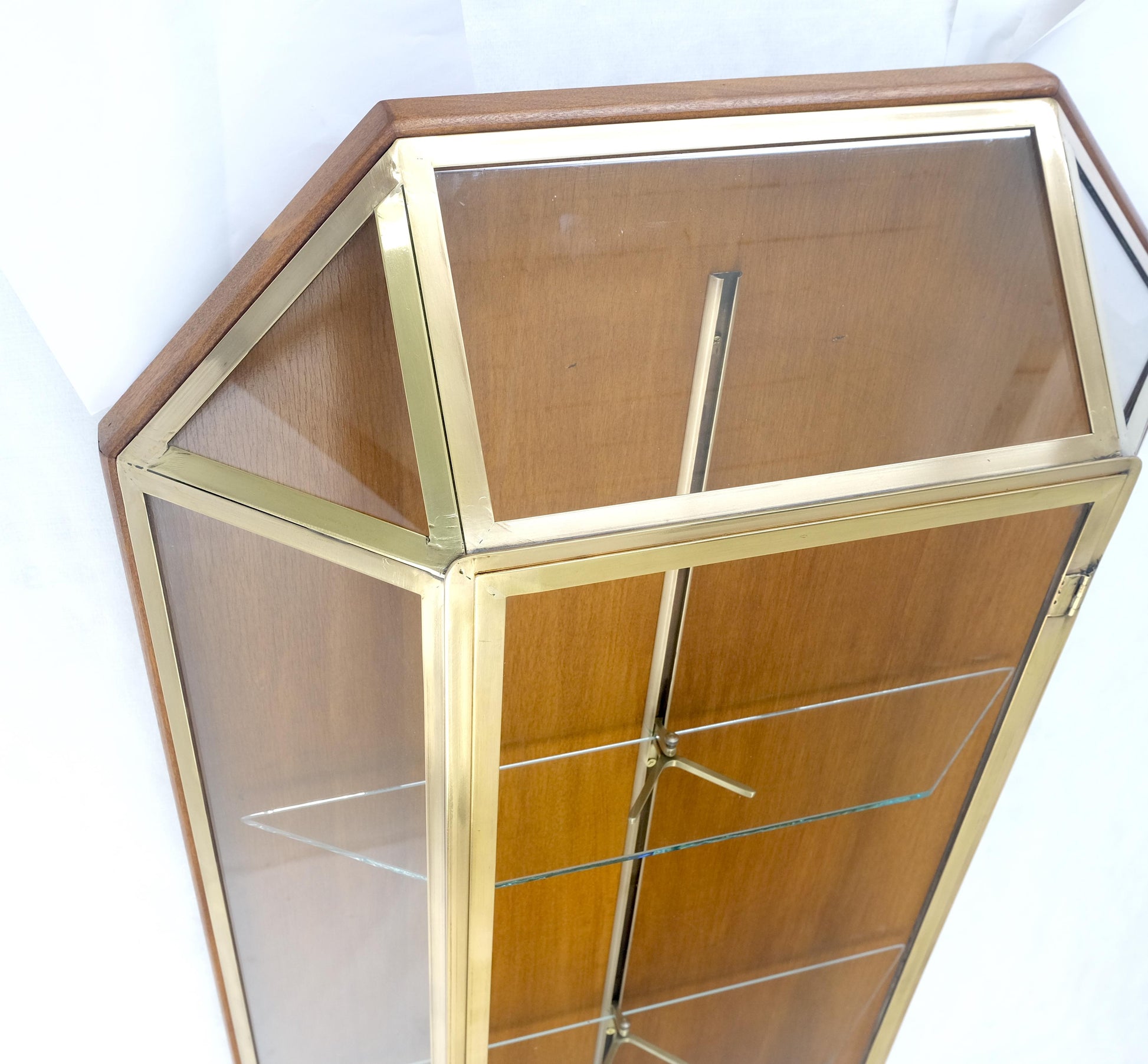 EstablishedLines Brass Glass Hanging Single Door Wall "Picture" Hanging Showcase Display Shelves