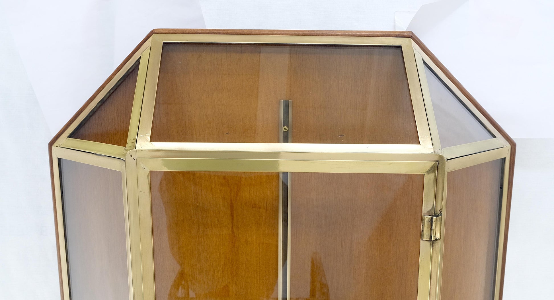 EstablishedLines Brass Glass Hanging Single Door Wall "Picture" Hanging Showcase Display Shelves