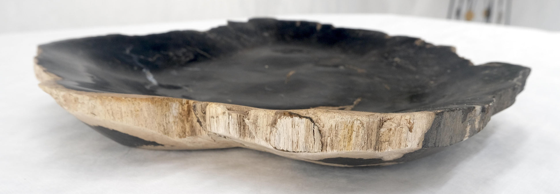 EstablishedLines Organic Leaf Shape Black & Tan Petrified Wood Tray Bowl Dish Plate Ashtray