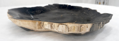 EstablishedLines Organic Leaf Shape Black & Tan Petrified Wood Tray Bowl Dish Plate Ashtray