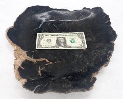 EstablishedLines Organic Leaf Shape Black & Tan Petrified Wood Tray Bowl Dish Plate Ashtray