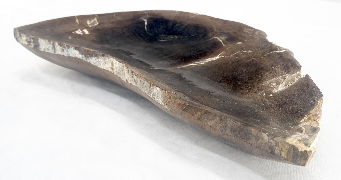 EstablishedLines Organic Liver Shape Black & Tan Petrified Wood Tray Bowl Dish Plate Ashtray MINT